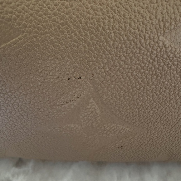 LV Never Full Tote - Picture 5 of 6